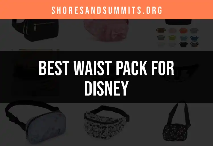 Top 10 Waist Packs for Disney Adventures